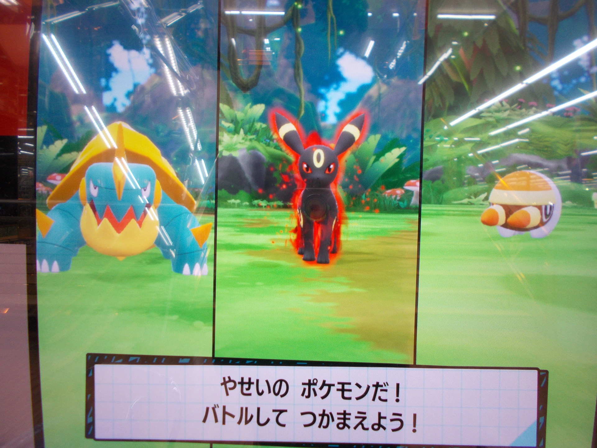 ポケモンメザスタ その２６ 再び第２弾 風は明日へ