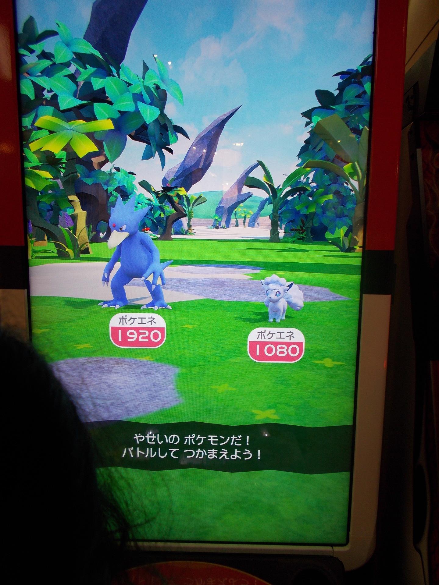 ポケモンガオーレ その３４ 対ルナアーラ戦 風は明日へ